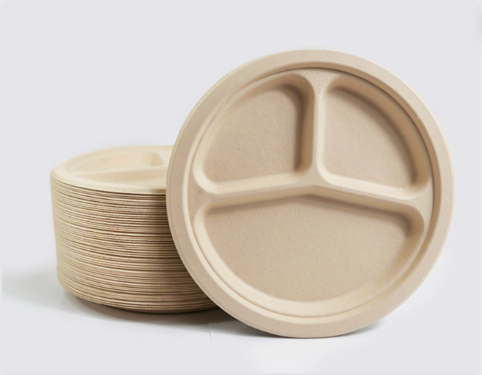 Biodegradable Sugarcane Pulp Divided Plates – Eco-Friendly, Sustainable Dinnerware