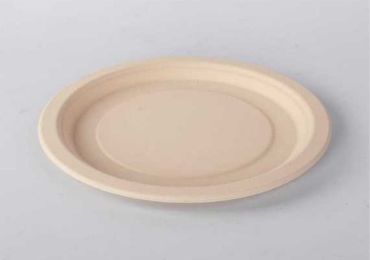 Bamboo Fiber Plate