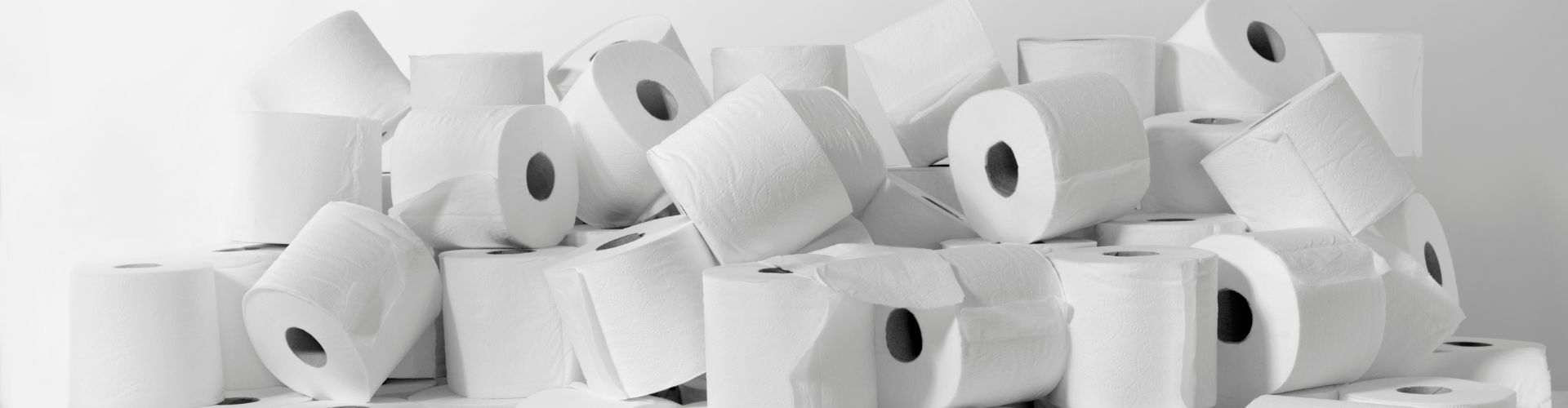 Bamboo Toilet Paper