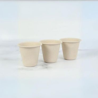 Disposable Bamboo Cups
