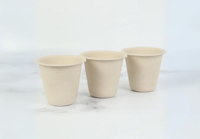 Disposable Bamboo Cups