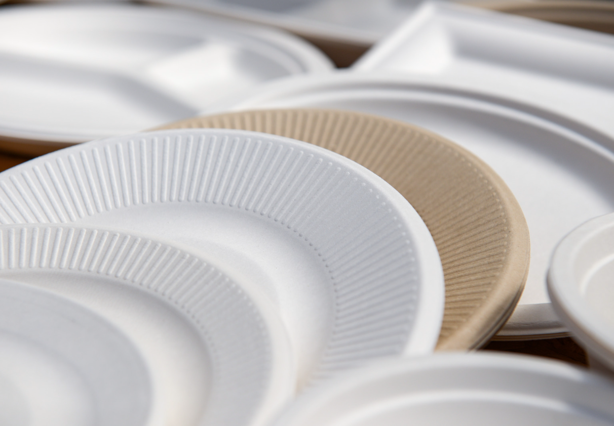 Eco-friendly bamboo plates, various styles and sizes of biodegradable tableware