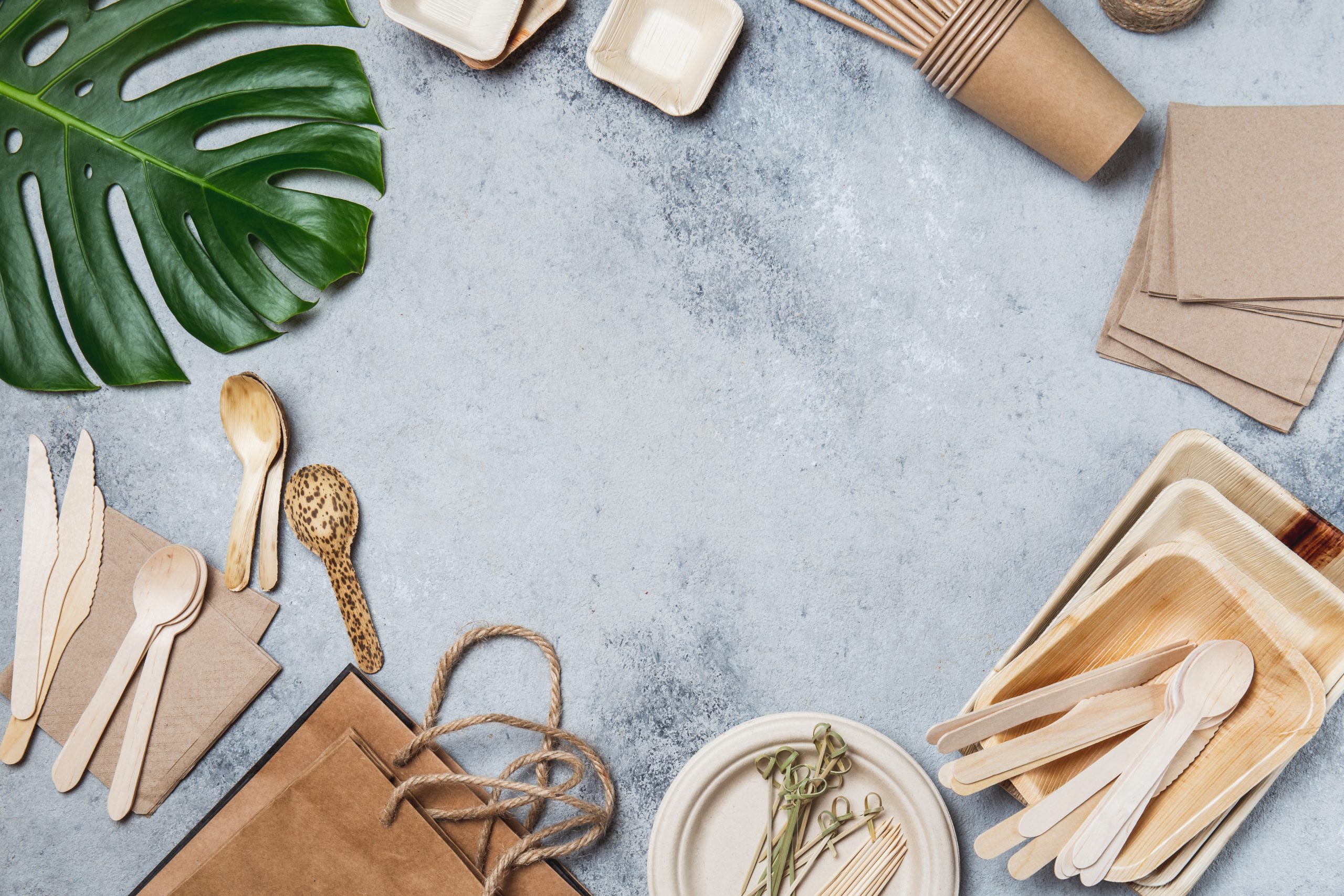 Sustainable Bamboo Cutlery Set and Eco-friendly Tableware for a Greener Future