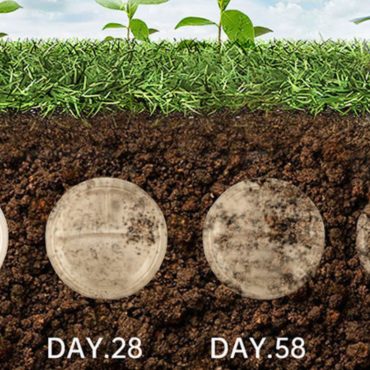 Compostable plates degrading in soil, showing the change from Day 1 to Day 90, highlighting the environmental benefits of eco-friendly, biodegradable plates as a plastic alternative.