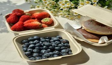6 inch bamboo fiber clamshell containers filled with fresh strawberries, blueberries, and donuts in an eco-friendly picnic setup