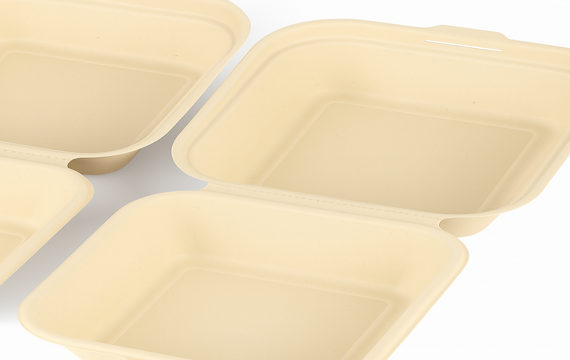 Compostable square biodegradable food containers made from natural bamboo