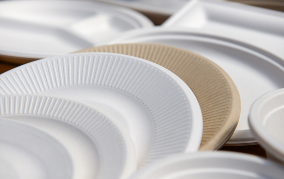 Eco-Friendly Disposable Plates: White and Kraft Paper Options