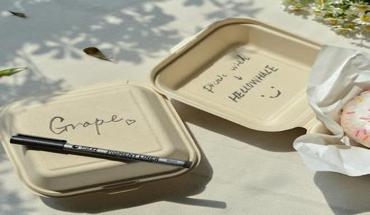 6 inch bamboo fiber takeout containers with donuts, pastries, and fruits in a picnic setting