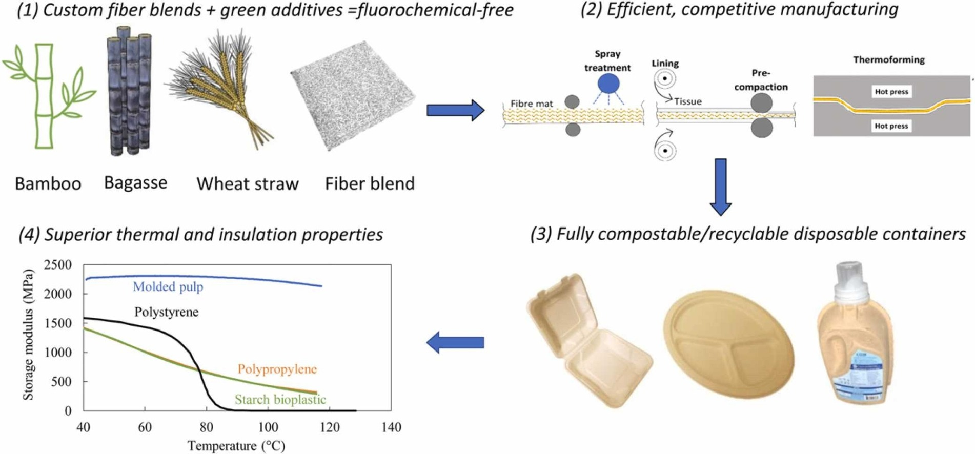 Eco-Friendly Molded Pulp Packaging Production Process