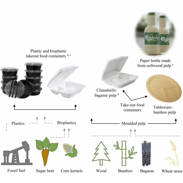 Comparison of Plastic, Bioplastics, and Molded Pulp Packaging for Food Containers