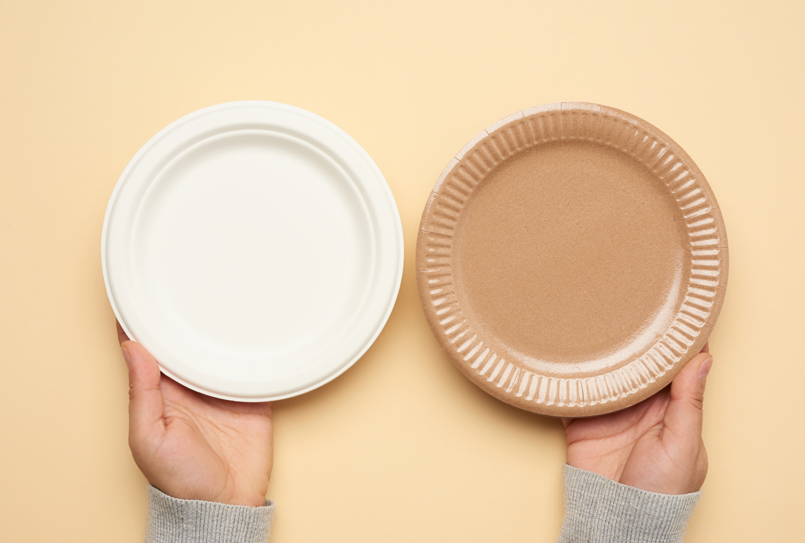 white bagasse plate vs brown kraft paper plate