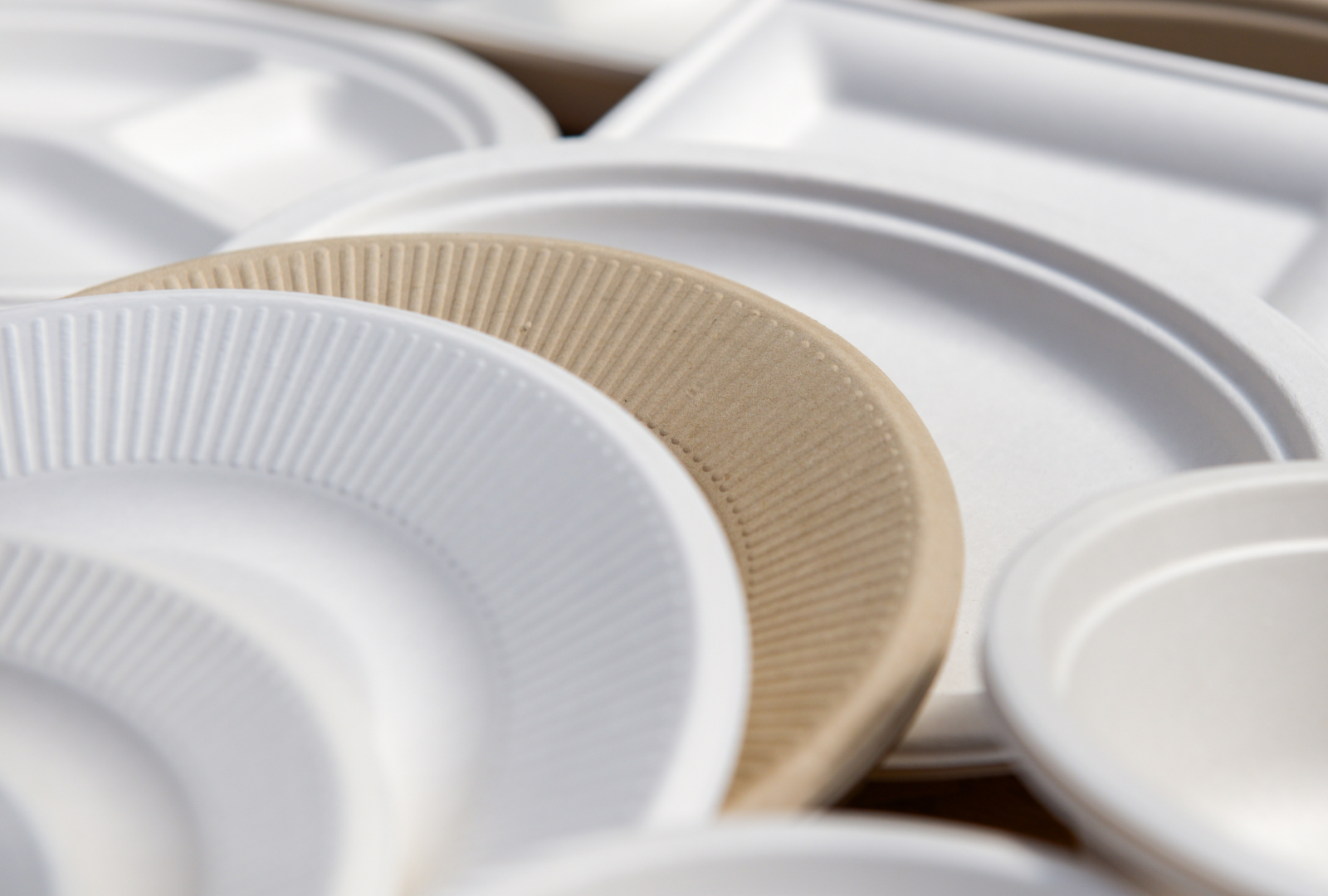 stacked disposable white and kraft paper plates