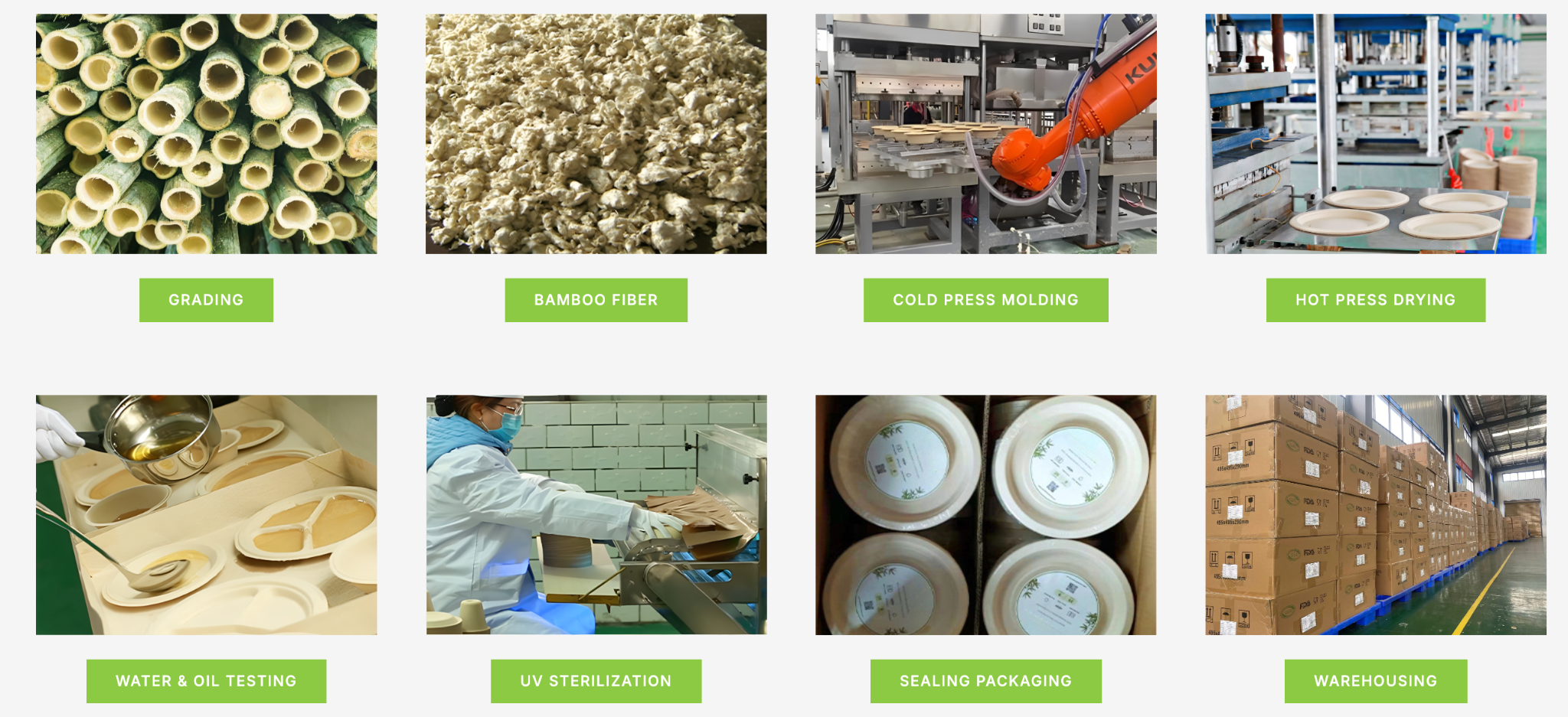 Step-by-Step Bamboo Pulp Tableware Manufacturing Process