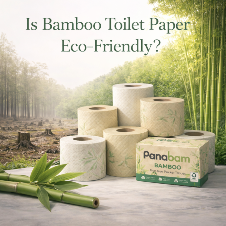 Eco-friendly bamboo toilet paper rolls stacked beside deforested land and a lush bamboo forest, highlighting environmental contrast.
