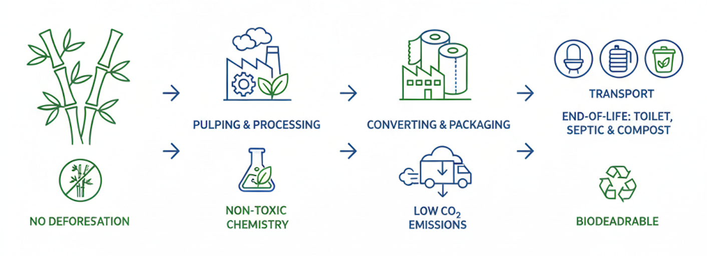 The Sustainable Lifecycle of Bamboo Toilet Paper – From Plant to Flush
