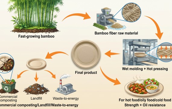 Bamboo fiber plate lifecycle infographic for bulk & wholesale: bamboo → fiber pulp → molding → use → composting.
