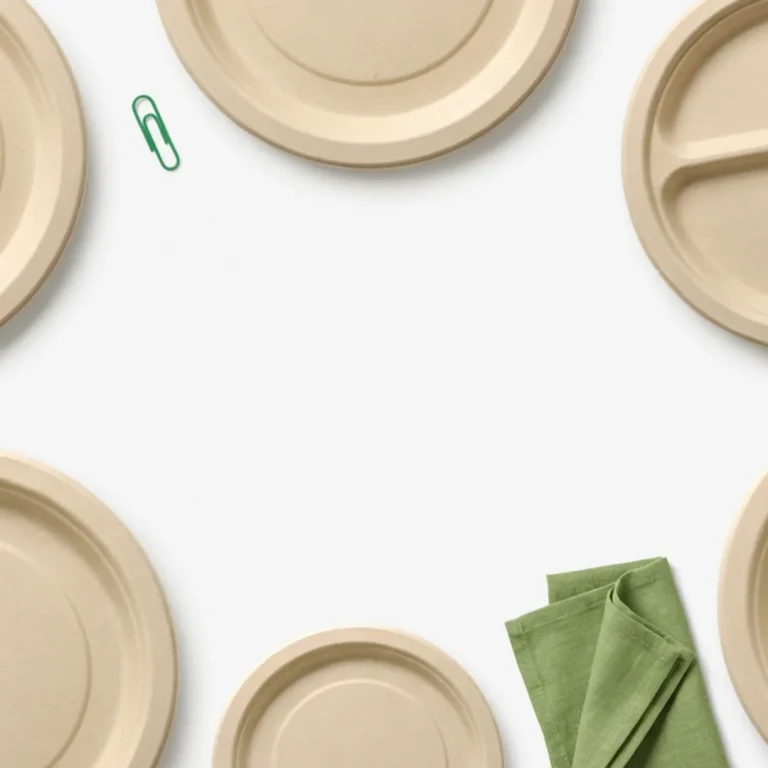 PFAS-free bamboo fiber disposable plates flat lay cover for wholesale buyer guide