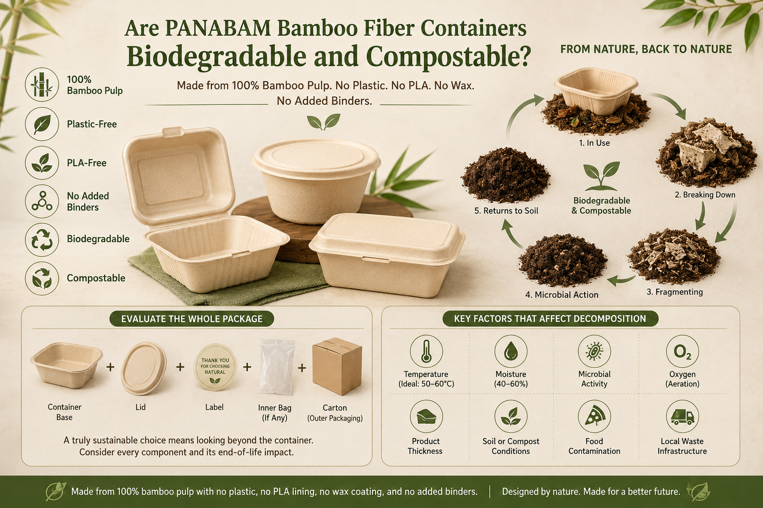 Bamboo fiber food container biodegradation and composting concept