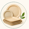 PANABAM disposable plates and trays in multiple product formats for foodservice and retail packaging