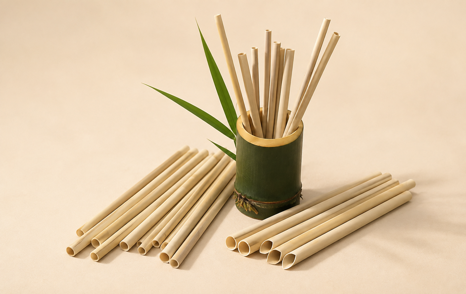 Bamboo fiber and natural bamboo drinking straws for cafés restaurants and takeaway beverage service