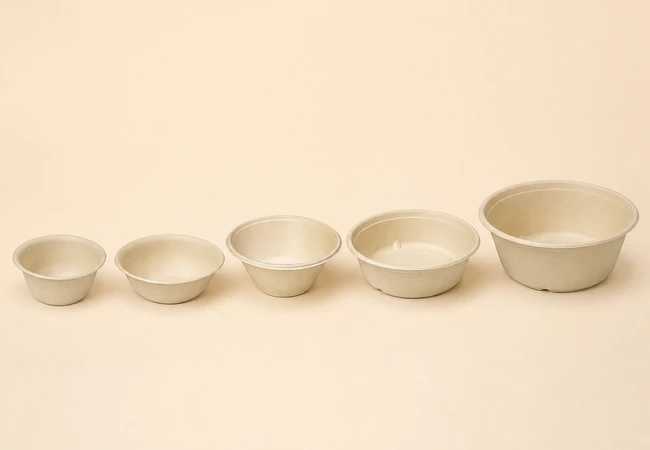 PANABAM bamboo fiber disposable bowls arranged from small to large capacity