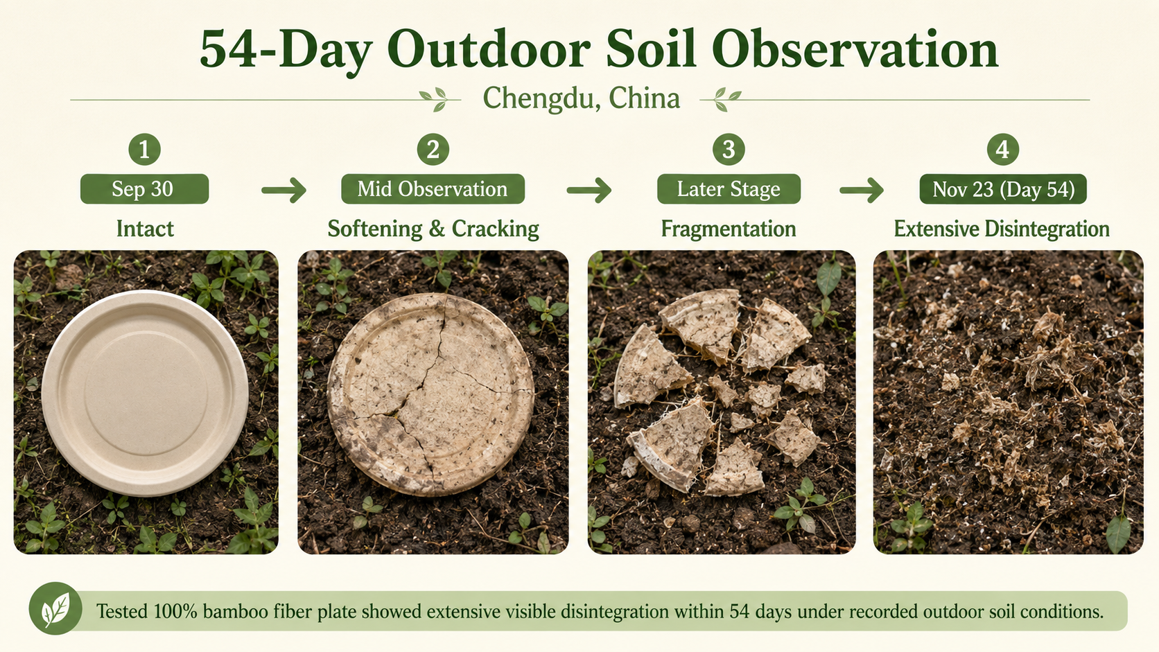 100% bamboo fiber plate during a 54-day outdoor soil observation in Chengdu