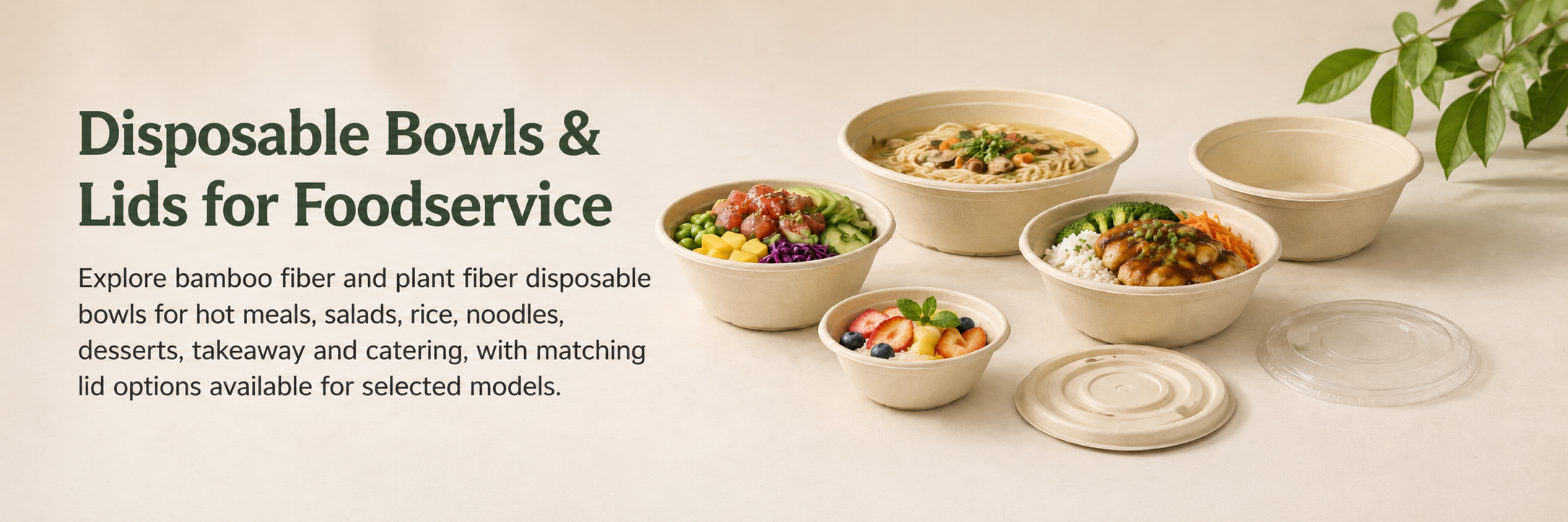 Disposable bamboo fiber and plant fiber bowls with matching lids for foodservice